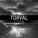 Storm - Single by Torval | Spotify Storm