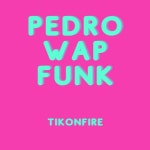 Pedro Wap Funk - song and lyrics by TikOnFire | Spotify Pedro Wap Funk