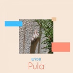 Pula - Original Mix - song and lyrics by Wydji | Spotify Pula - Original Mix