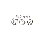 나만 강아지 없어 - song and lyrics by gyomunapchick | Spotify 나만 강아지 없어