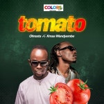 Tomato - Single by Ohrasta Afrochanger | Spotify Tomato