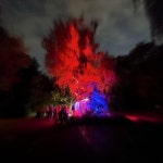 Loco - song and lyrics by Nidas, kxrel | Spotify Loco