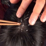 ASMR “Lice Check” - Rice Check, Scalp Inspection, Chopsticks - EP by Relax Academy ASMR | Spotify