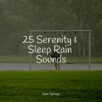 25 Serenity & Sleep Rain Sounds - Album by Wellness, Restless Baby Music, Deep Sleep FX | Spotify 25 Serenity & Sleep Rain Sounds