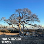 drzewo - Single by Deus Ex Machina | Spotify drzewo