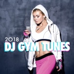 2018 DJ Gym Tunes - Album by Sexy Music Ibiza Playa del Mar DJ | Spotify 2018 DJ Gym Tunes