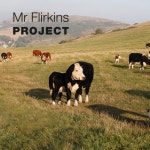 Project - Single by Mr Flirkins | Spotify Project