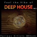 Feel the Vibe of Deep House, Vol. 2 - Compilation by Various Artists | Spotify Feel the Vibe of Deep House, Vol. 2