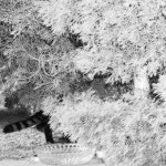 66-666-444-7777-33-3-33-7777-8-777-666-999-7777-6-33 - Single by Atmorestive | Spotify 66-666-444-7777-33-3-33-7777-8-777-666-999... 