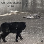 MIAO - Album by Fattore Ulisse | Spotify MIAO