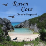 Raven Cove - song and lyrics by Chrissie Sheppard | Spotify Raven Cove