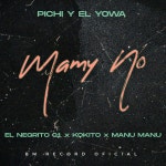 Pichi | Spotify Pichi