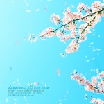 따스한 봄날 - song and lyrics by JiEum | Spotify 따스한 봄날