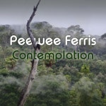 Contemplation - Album by Peewee Ferris | Spotify Contemplation