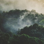 Transient Moments - song and lyrics by David Cordero | Spotify Transient Moments