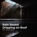 Rain Sound Dripping on Roof - Album by Rain Sounds Sleep | Spotify Rain Sound Dripping on Roof