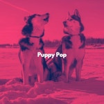 Puppy Pop - Album by Música Tranquila para Bares | Spotify Puppy Pop