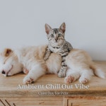 Ambient Chill Out Vibe: Calm Day for Pets - Album by Music for Calming Dogs | Spotify Ambient Chill Out Vibe: Calm Day for Pets