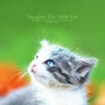 도도한 꼬마 고양이 - song and lyrics by Arming | Spotify 도도한 꼬마 고양이