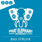 Coming Strong - Single by Bas Struik | Spotify Coming Strong