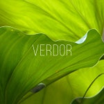 Verdor - Single by Relajacion | Spotify