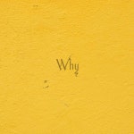 Why - song by 355KILLA | Spotify Why
