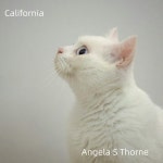 I Awant Some - song and lyrics by Angela S Thorne | Spotify I Awant Some