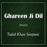 Ghareen Ji Dil - Album by Tufail Khan Sanjrani | Spotify Ghareen Ji Dil