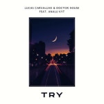 Try - song and lyrics by Lucas Carvallho, Doctor House, Analu Kyt | Spotify Try