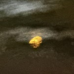 DIDN’T MAKE IT PAST 40: Melancholy Alternate Ending - song and lyrics by SAB3R 2, Tordor | Spotify DIDN’T MAKE IT PAST 40... 