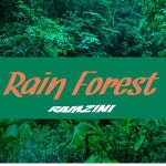 Rain Forest - Ramzini Club Mix - song and lyrics by Ramzini | Spotify Rain Forest - Ramzini Club Mix