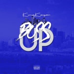 Boss Up - song and lyrics by King Kaiser | Spotify Boss Up
