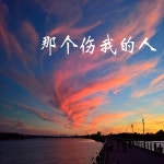 那个伤我的人(DJ彭锐版) - song and lyrics by 军颖昕 | Spotify 那个伤我的人(DJ彭锐版)