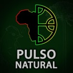 Gran Río - song and lyrics by Pulso Natural | Spotify Gran Río