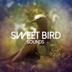 ! ! ! ! Sweet Bird Sounds ! ! ! ! - Album by Bird Sounds | Spotify ! ! ! ! Sweet Bird Sounds ! ! ! !
