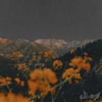 everlastin! - song and lyrics by Szmovy | Spotify everlastin!