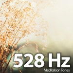 528 Hz Meditation Tones Brain Music - EP by Miracle Brain | Spotify 528 Hz Meditation Tones Brain Music