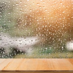 평온의 비 - song and lyrics by 비 소리, 자연 소리 예약, 자연의 소리 | Spotify 평온의 비