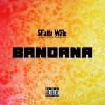 Bandana - Single by Shatta Wale | Spotify Bandana