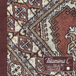 Vitamina C - Single by Pablo La Nuit | Spotify Vitamina C