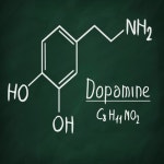 Dopamine - song and lyrics by The Catnip Mafia | Spotify Dopamine