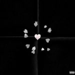 Miss The Rage - Showgun Edit - song and lyrics by Showgun | Spotify Miss The Rage - Showgun Edit