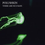 There Are No Z Rays - Single by Polushkin | Spotify There Are No Z Rays
