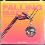 Falling Back (Assaf Remix) - Single by Josh Gabriel, Winter Kills, Assaf | Spotify Falling Back (Assaf Remix)