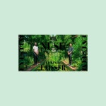 Laisser - Single by Nusu | Spotify Laisser