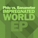 Impregnated World - Single by Phlu, Bananeter | Spotify Impregnated World