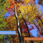 Courtyard - song and lyrics by Saturnshine | Spotify Courtyard
