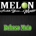 Bohoso Moto - song and lyrics by Melon Music, Nadin Maulina | Spotify Bohoso Moto