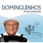 Dominguinhos Instrumental - Album by Dominguinhos | Spotify Dominguinhos Instrumental