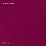 Im in a Car - Single by Forest Green | Spotify Im in a Car